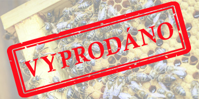 oddelek_vyprodano.jpg